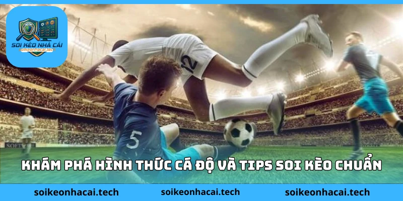 Khám phá hình thức cá độ và tips soi kèo chuẩn