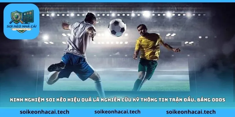 Kinh nghiệm soi kèo hiệu quả là nghiên cứu kỹ thông tin trận đấu, bảng odds