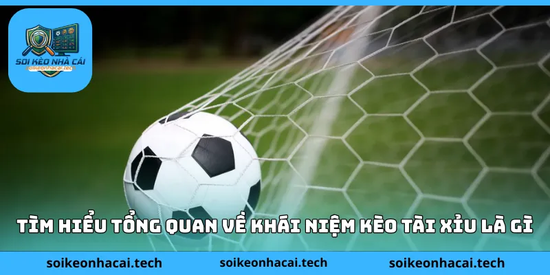 Tìm hiểu tổng quan về khái niệm kèo tài xỉu là gì